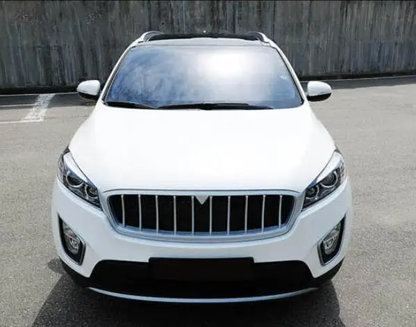 Высокое качество ABS краски автомобиля переднего бампера Гонки Грили решетка