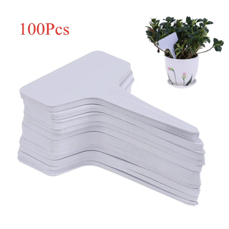 Cheap Sorting Sign Garden-Labels In-Card Plastic Board-Plug Classification 100pcs/Lot Tag-Ticket GR6Je1GXDZ1