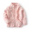 Pink Swan