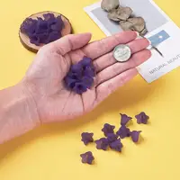 Fashion Jewelry