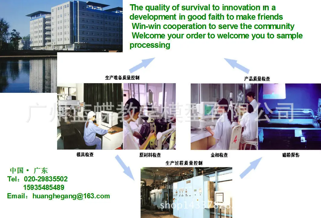 High Grade Midwifery Teaching Training Model/Demo Standard Delivery Program/Demo Normal Abnormal Fetal Position Delivery