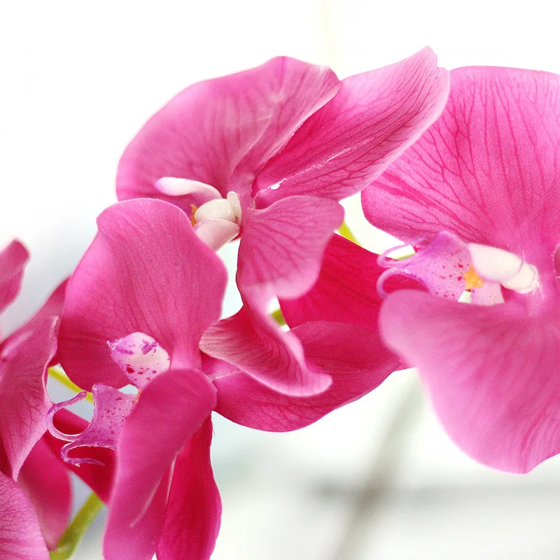 3093083174_1885843273