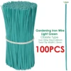 LightGreen-100pcs