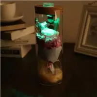 

Rose Glass Cover Preserved Fresh Flower LED 5 Color Ornamental Gift Decoration Beautiful Glitter Floral Decor Mother'S Day