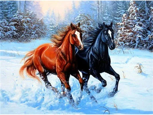 5D алмазная Картина лошадь крест stitc diy Полная квадратная картинка с животными для вышивки со стразами мозаика Стразы домашний Декор подарок распродажа - Цвет: ZS609