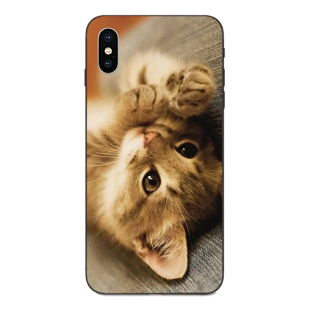 as picture Для Xiaomi Redmi Note 3 3S 4 4A 4X5 5A 6 6A 7 7A K20 Plus Pro S2 Y2 Y3 ТПУ чехол с рисунком маленького котенка Милая кошка - Цвет: as picture