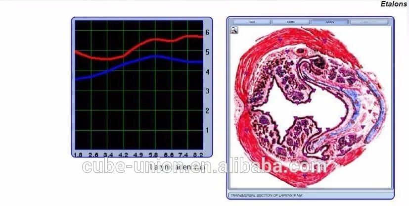 Body Magnetic Health  medical analyzer biochemistry for full body tests