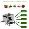 Electric Grape Crusher Wine Brewing Equipment Manual Grape Crushing Machine 6