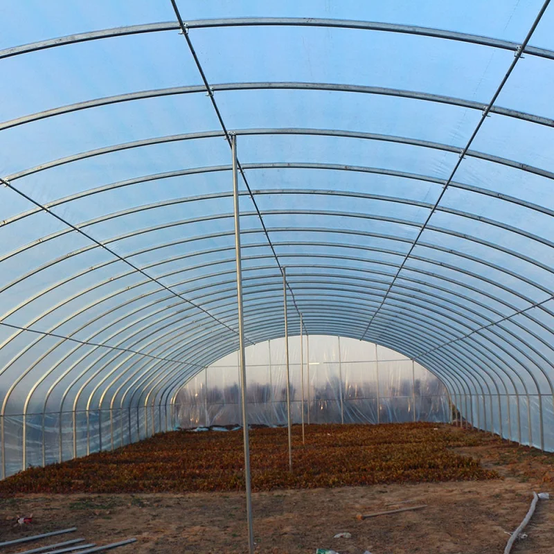 6m&times;10m Practical Cheap Agricultural Greenhouse