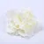 100 piezas simulación Dalia Rosa sola flor cabeza DIY guirnalda fiesta boda telón de fondo decoración seda Rosa pared Arco fila - Цвет: Blanco