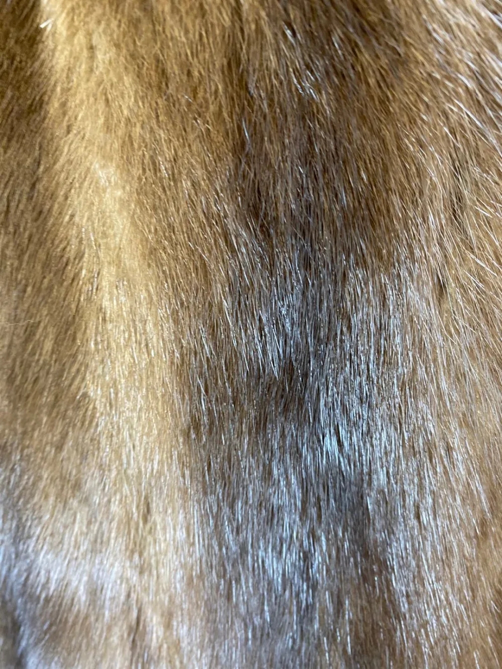 5a276dfe-247e-4809-84cc-26b7dff9ac2b