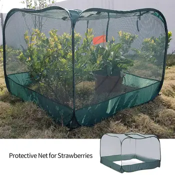 

Foldable Mobile Portable Siamese Flowers And Vegetables Bird-proof Nets Vegetables Strawberry Protection Cage Net Chicken Butte