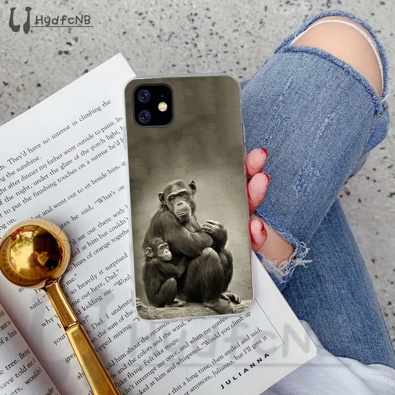 Monkey Gorilla Ape Baby Drawing