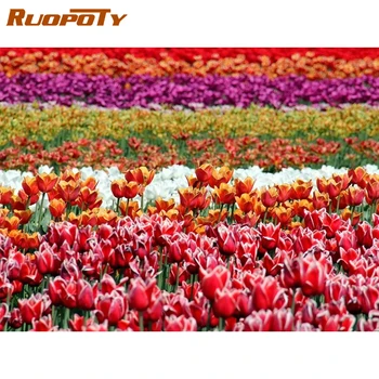 

RUOPOTY Painting By Numbers Tulips Flower Oil Paints DIY Frame Ready Frame Paint For Adult Home Decor Living Room Wall Art