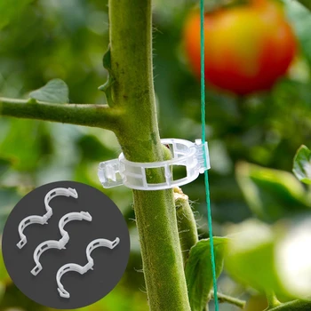

50PCS Reusable Vine Clip Plastic Plant Support Clips Clamps For Plants Hanging Vine Garden Vegetables Grow Upright Tool
