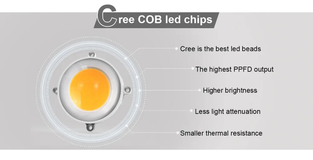 COB详情页修改后3_06
