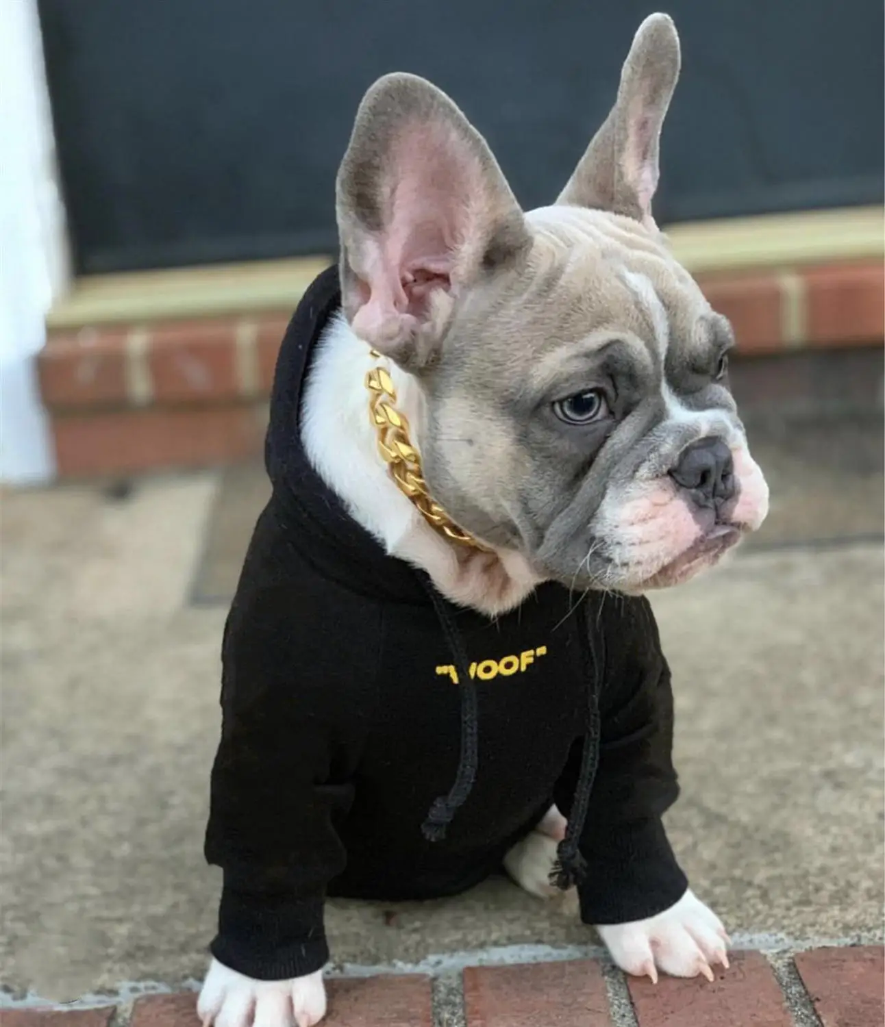 Black yellow Новая одежда для животных для щенков, мягкая хлопковая толстовка с капюшоном, куртка бульдог Шнауцер Чихуахуа для собак, кошек на зиму, сохраняющая тепло, TPC10 - Цвет: Black yellow