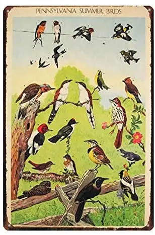 

Retro Vintage Metal Tin Sign Pennsylvania Summer Birds Home Bar Kitchen Garden Wall Decor Sign 12X8Inch