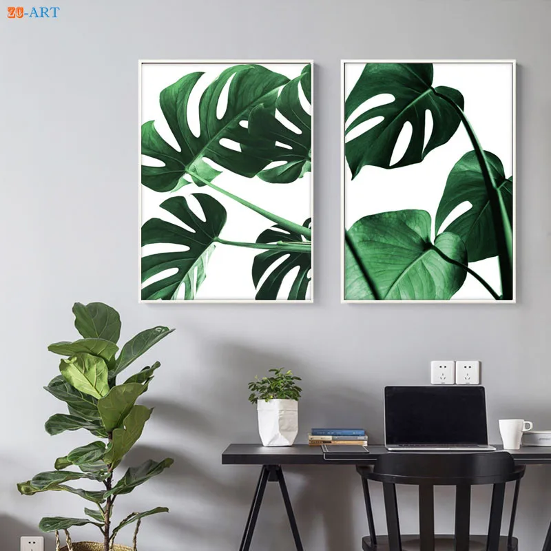 Постер Monstera с рисунком румян розовых тропических листьев ботаническая Настенная