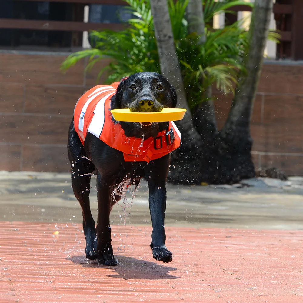 9010383209_1397814943