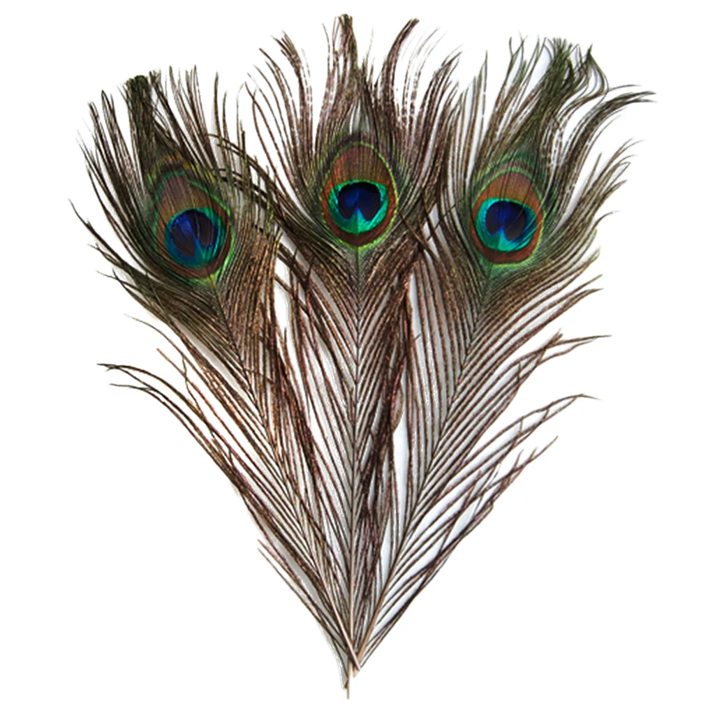 10 Pieces Beautiful Natural Peacock Feather Plumage for Dress Clothes Decorated Wedding 9-13 inch (23-33cm) | Дом и сад