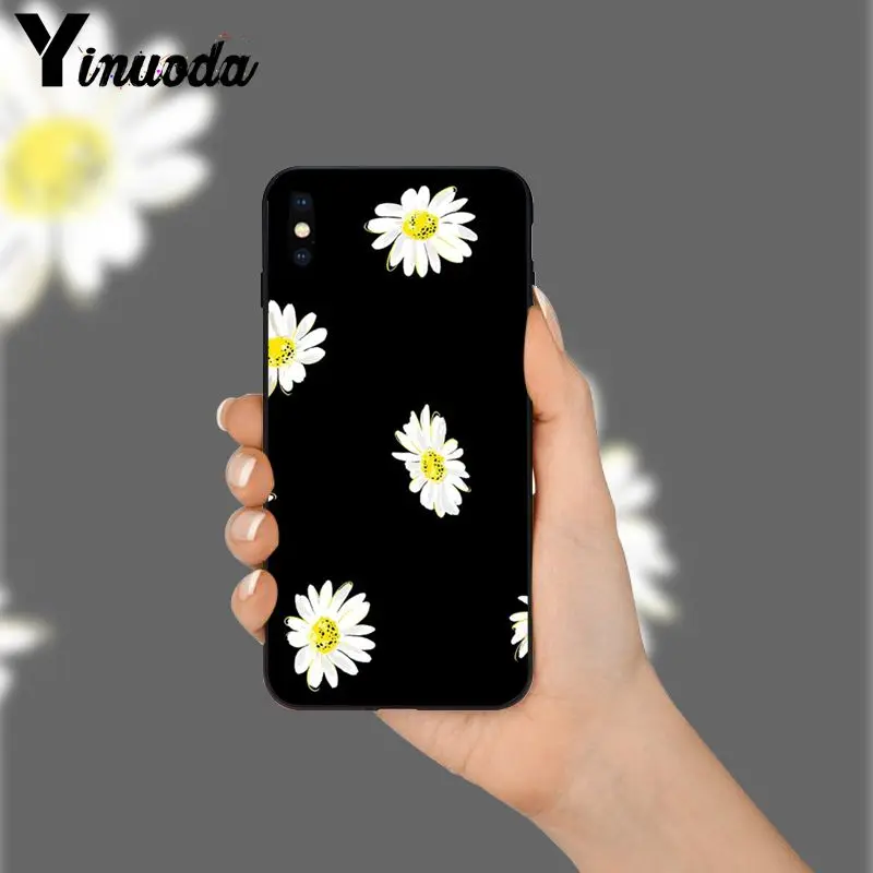daisy