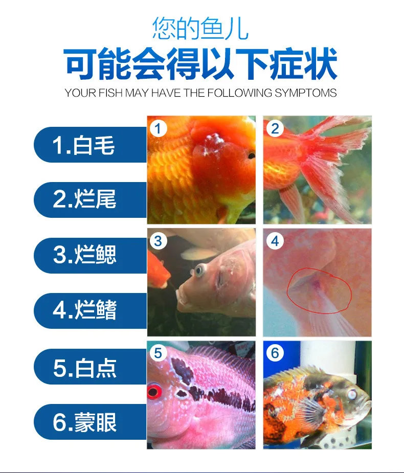 Sensen New Care Solution 4 in One Purified Water Algae Removal Prevention Aquarium Fish Tank Care Solution Tropical Fish Ornamen