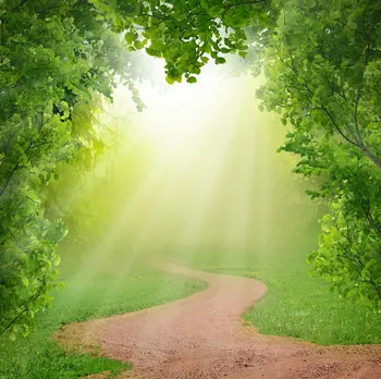 

Magic Spring Forest Backdrop Green Forest Bokeh Sunshine Sun Light Path Under Tree - Printed Backdrop Photography Background