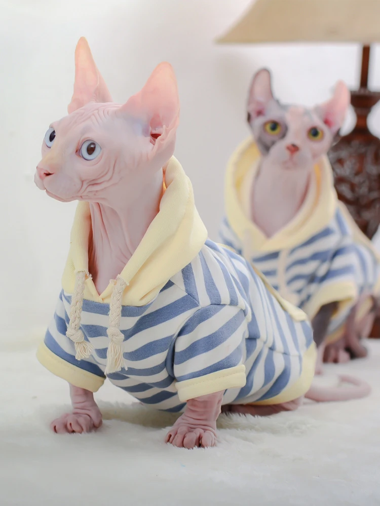 스트라이프 고양이 옷 겨울 따뜻한 코튼 새끼 고양이 후드 티 소프트 스핑크스 의상 스핑크스 고양이 자켓 코트 작은 중형 개 고양이