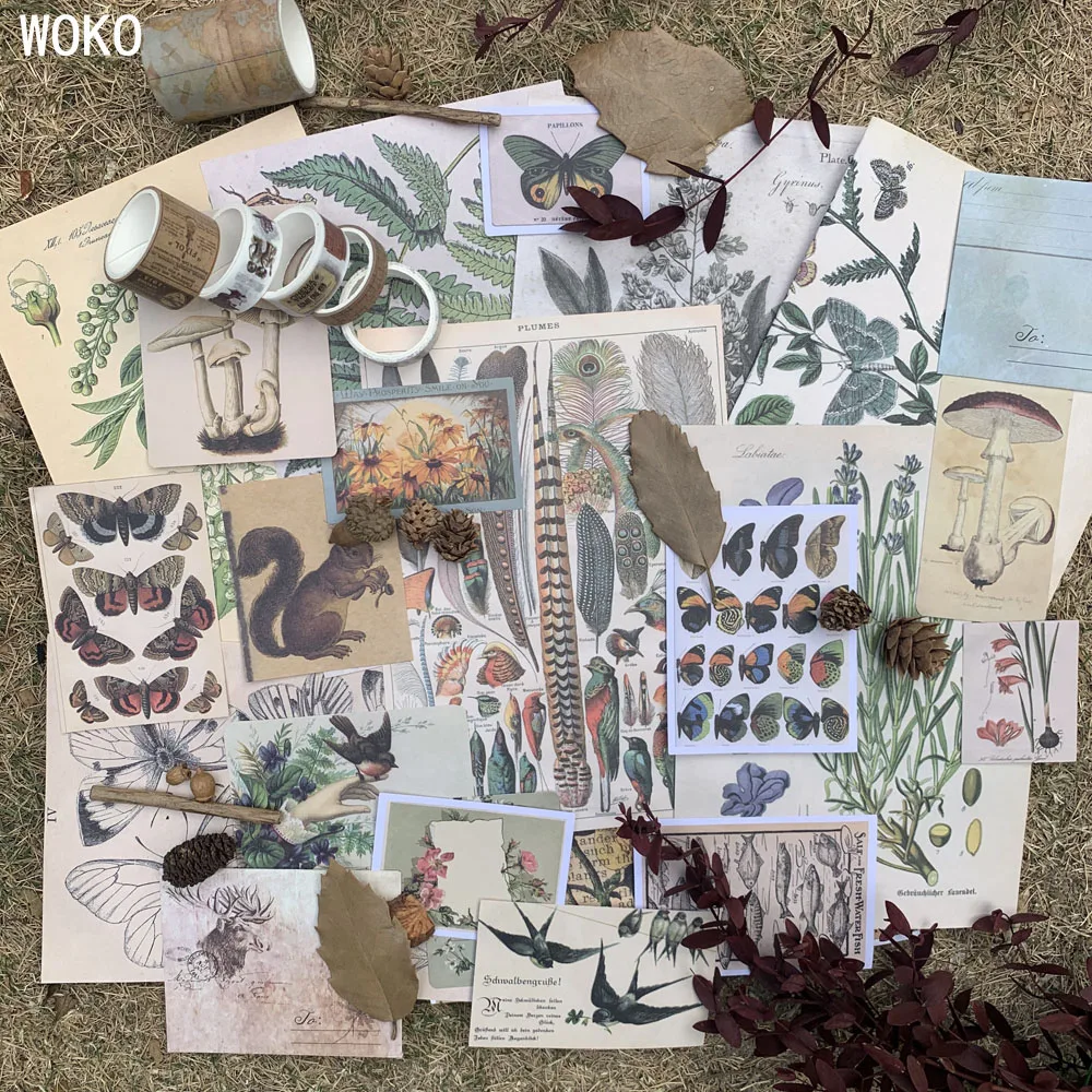 

WOKO 36pcs Decorative Retro Bullet Journal Feathers Butterfly Fungus Swallow Poster Herbarium Material Stickers For Scrapbooking