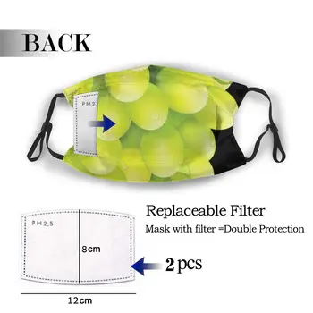 

protective mask with filter Grape anti dust PM2.5 reuse adult teen child girl