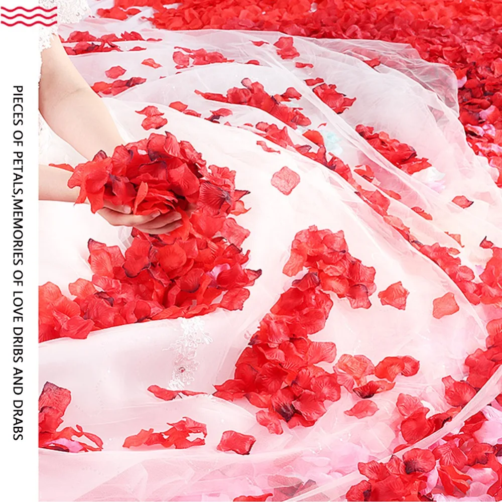 307541_no-logo_307541-1-06-g