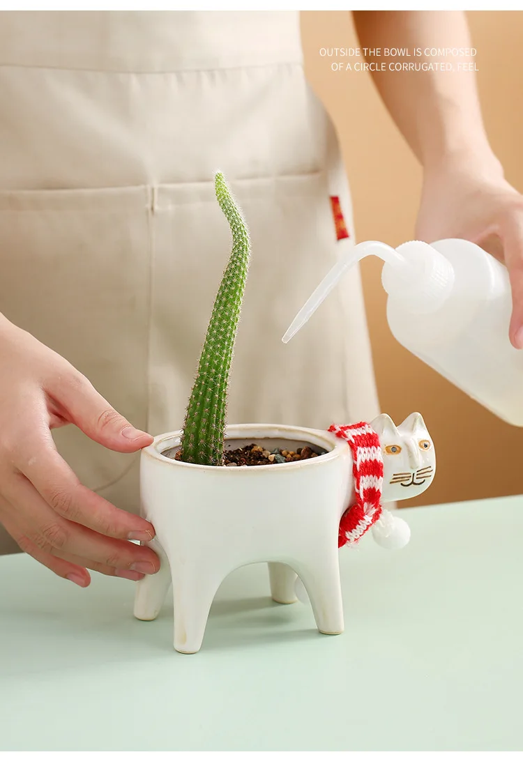 Pot De Fleurs En Ceramique Queue De Chat Mignon Cactus Creatif Multi Viande Decoration Simple De Bureau Animaux De Dessin Anime Aliexpress Pot De Fleurs En Ceramique Queue De Chat Mignon Cactus Creatif Multi Viande Decoration Simple De Bureau Animaux De Dessin Anime Aliexpress