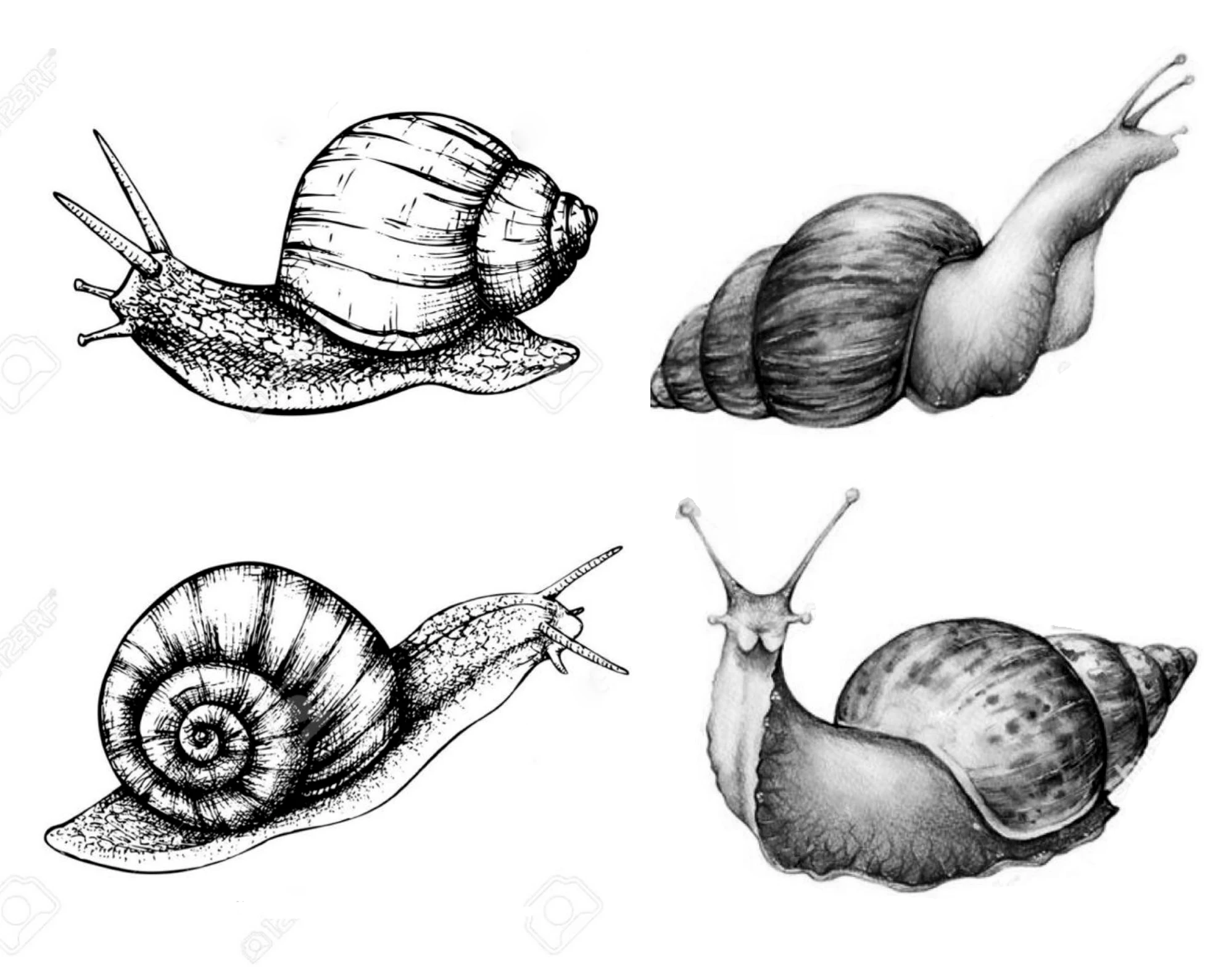Snails Transparent Silicone Rubber Stamp and Metal Die Sheet Cling Scrapbooking DIY Cute Pattern Photo Album | Дом и сад