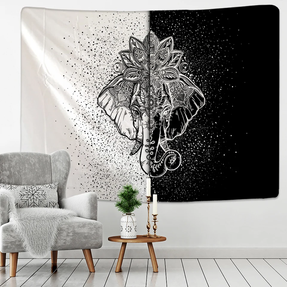 ���ٶ� �ڳ��� ���ǽ�Ʈ�� ������ ����̾� �� �غ� ��ũ�� ������ ���� ��� ķ�� ��Ʈ ���� ���� �е�, ������ �е� ķ�� ��ũ��