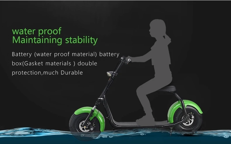 E-Scooter City Coco 2 колеса электрический мотоцикл 1000 Вт взрослый Электрический гольф скутер Citycoco внедорожный электрический мотоцикл