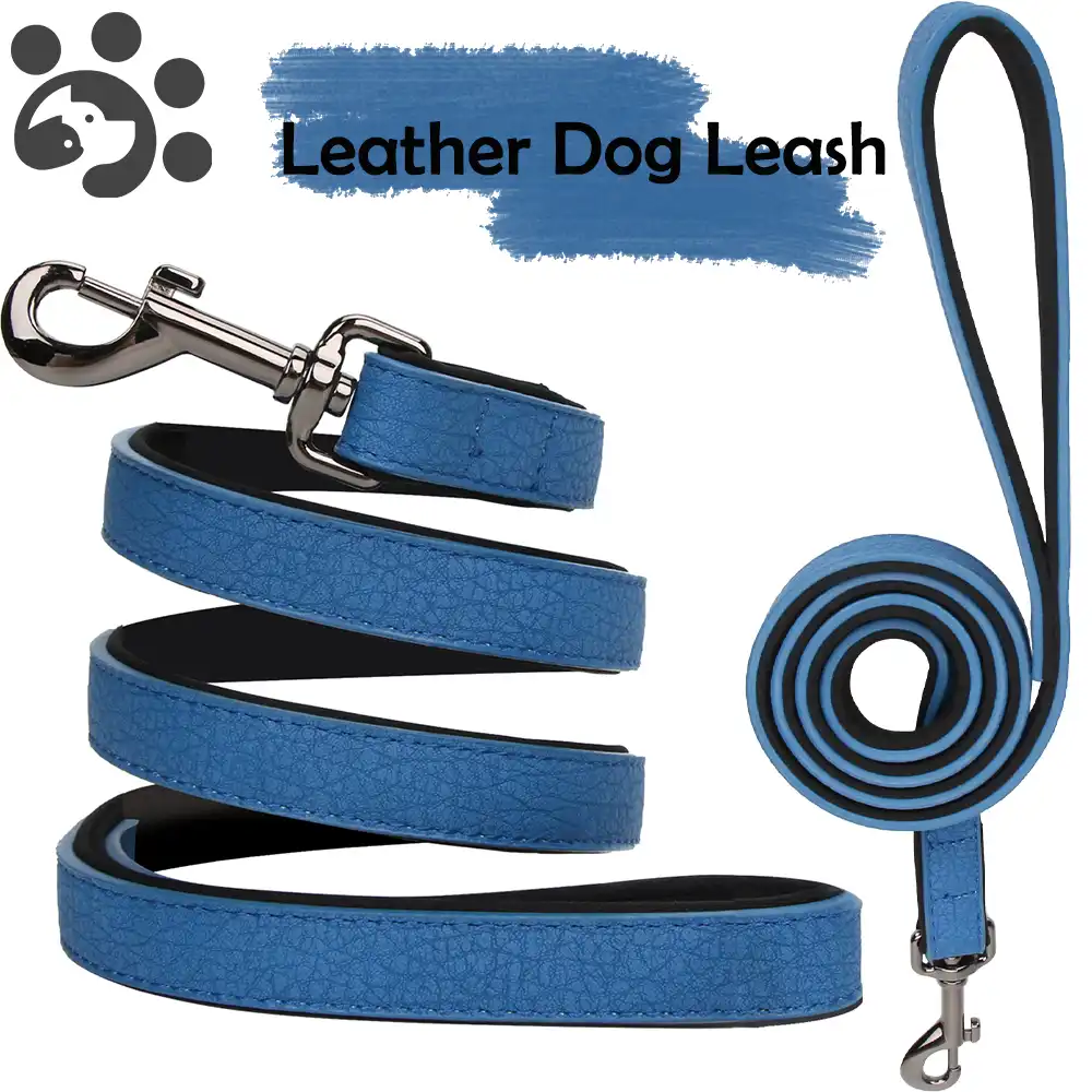 leather lead and collar