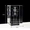 Crystal 3D Laser Engraved Human Anatomical Skeleton Cube Model Statue Paperweight Anatomy Mind Neurology Medical Science Gifts 6