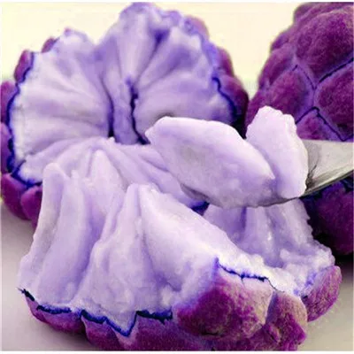 20 шт. Soursop бонсай фрукты, Graviola Annona муриката сладкий СОП вкусные фрукты бонсай сахар яблоко Annona дерево растение в бонсай - Цвет: 19