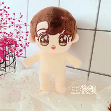 

20cm TFboys Wang Junkai Doll idol Toy Plush Doll Dress Up Clothing Girls Gift