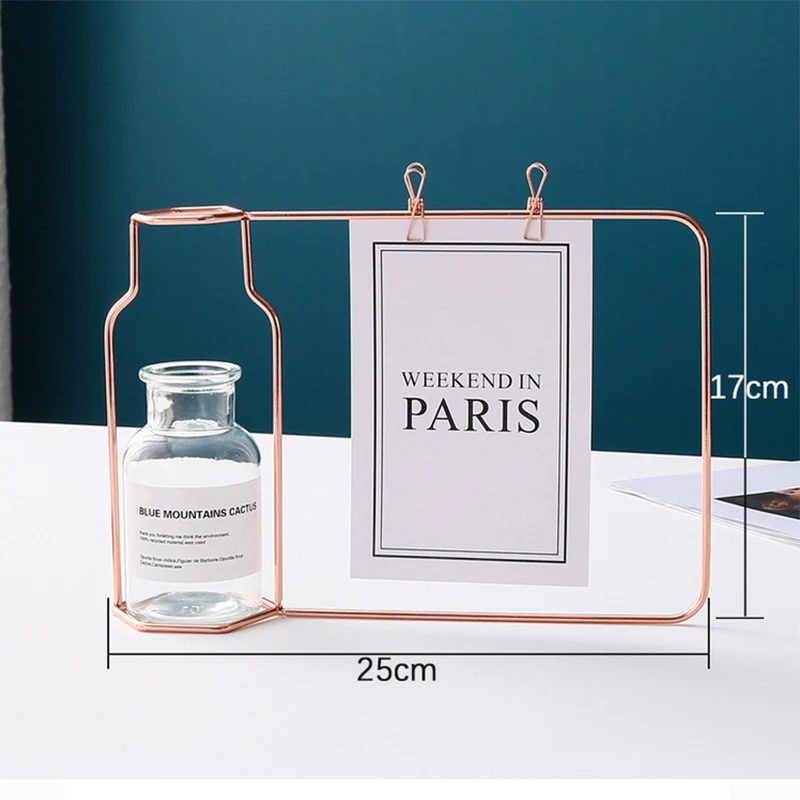 Nordic Hydroponic Glass Vase Wrought Iron Vase Photo Frame Decoration Table Flower Vases Decoration Home Metal Plant Holder 6