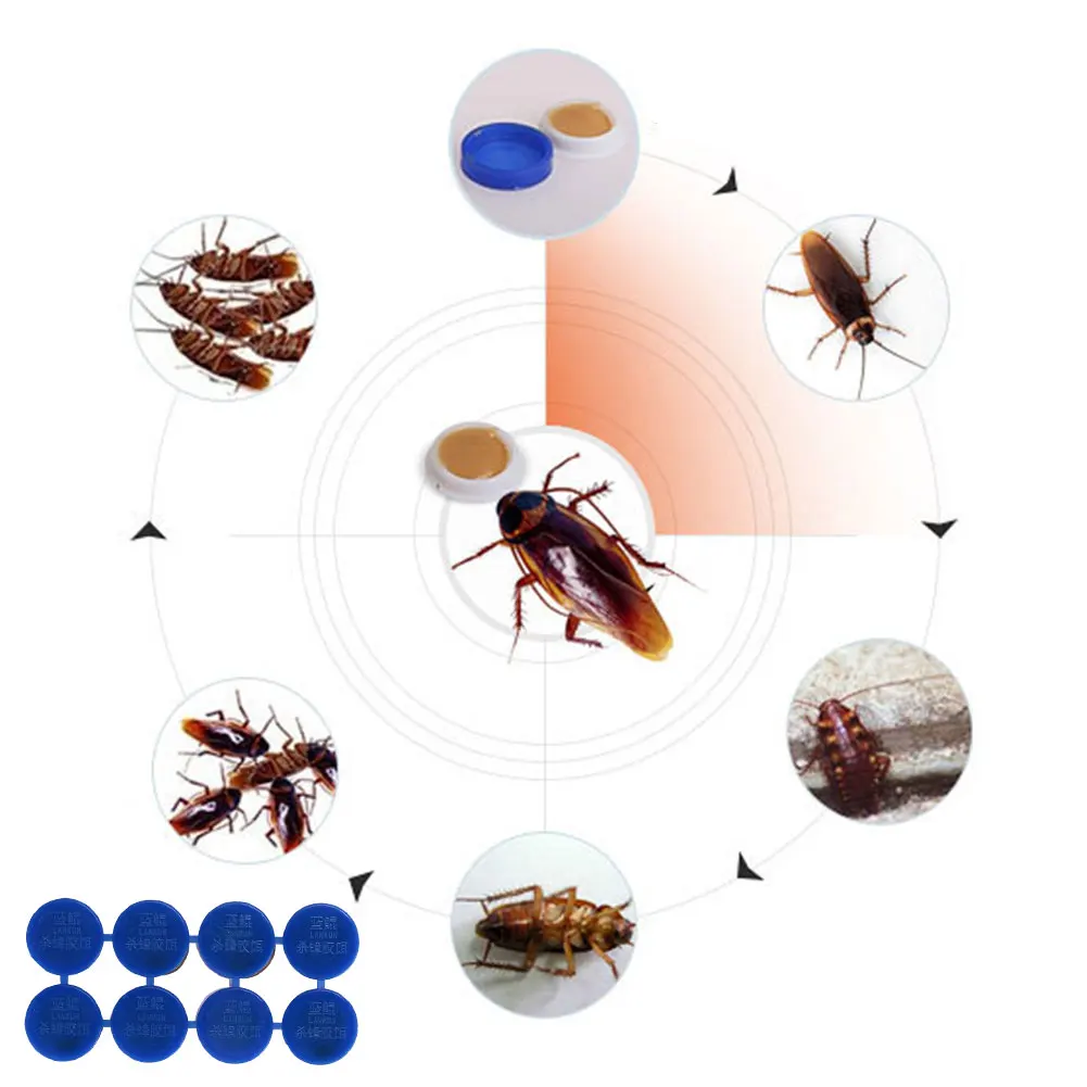 

Effective Cockroach Bait None Toxic Eco Friendly Control Home & Living Drugs Garden Cockroach Killer