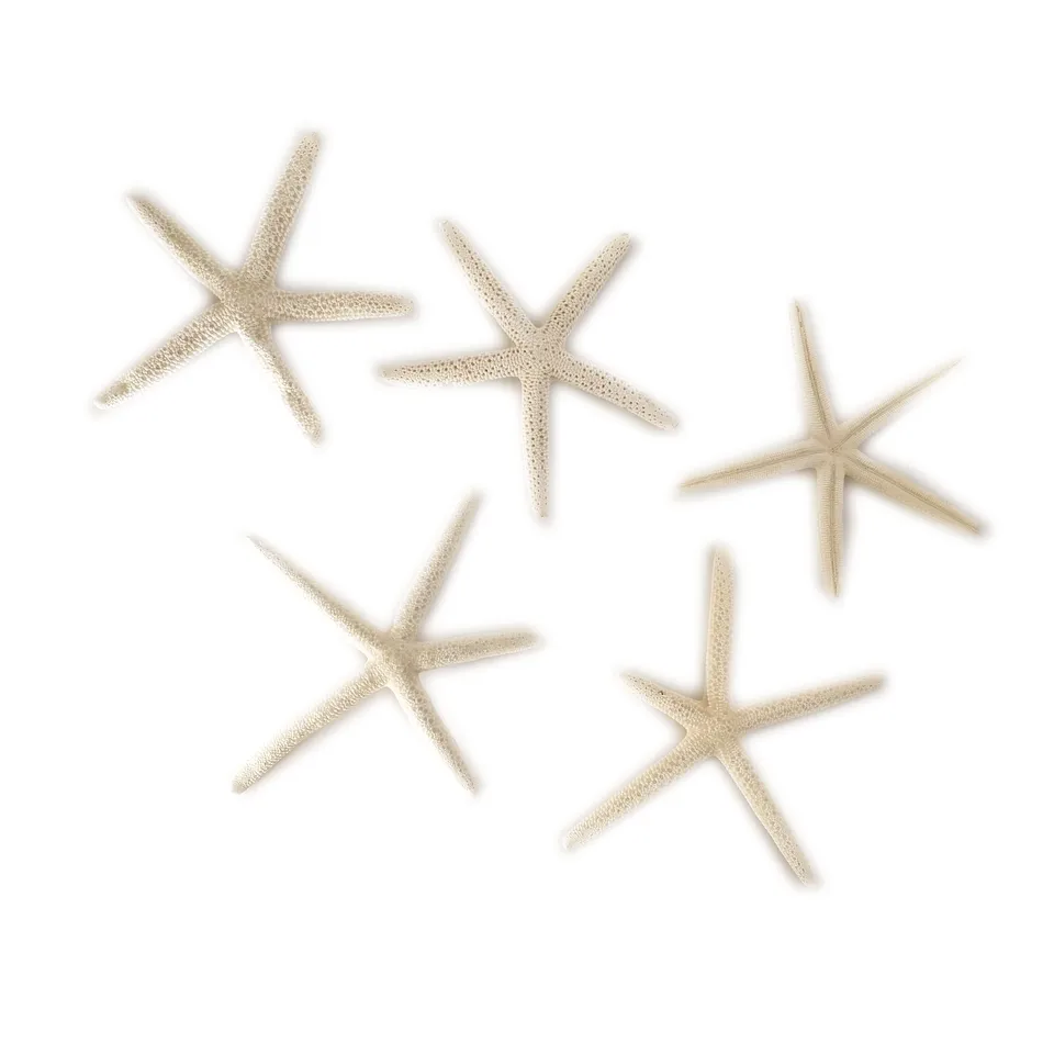 Get Diy decor de locean For iPhone