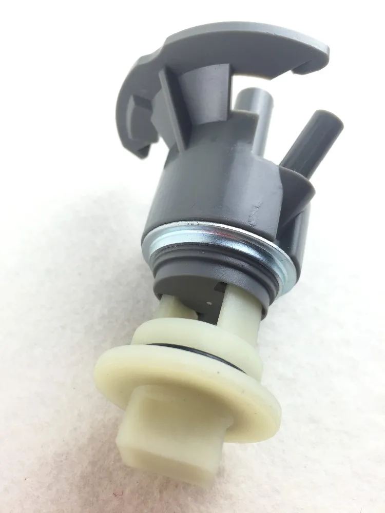 IMG_2935
