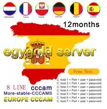 

Egygold cccam server c lines for Europe DVB-S2 Satellite receiver v9 V8 V7 NOVA stable in Germany Spain Poland