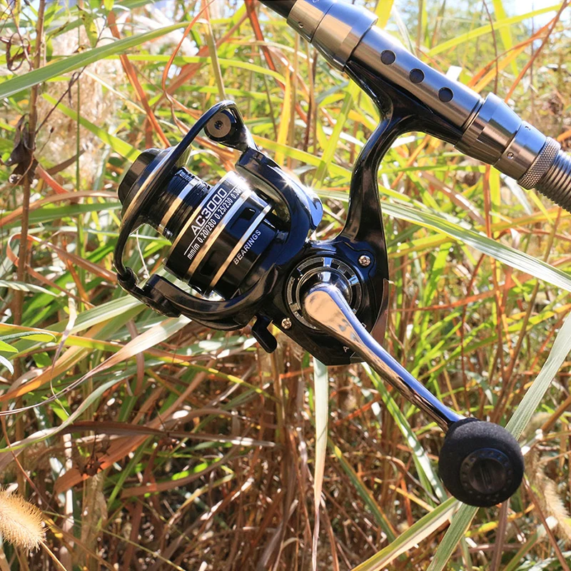 DEUKIO Carp Fishing Reels Spinning 2000 3000 Metal Spool Double Handle  Spinning Reel for Fishing Reel Molinete Coils Surfcasting - AliExpress