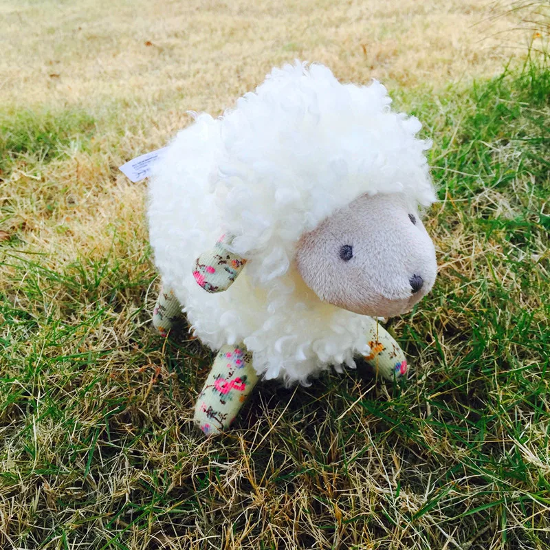 微信图片_20191216173829_副本_副本