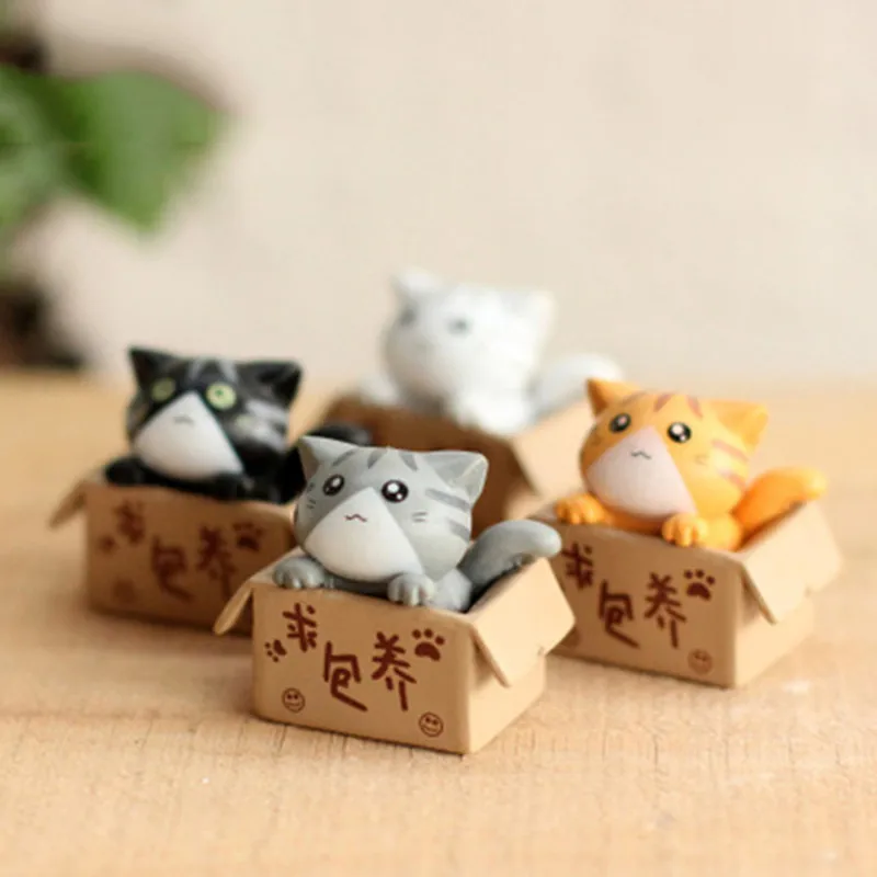 小猫a (6)