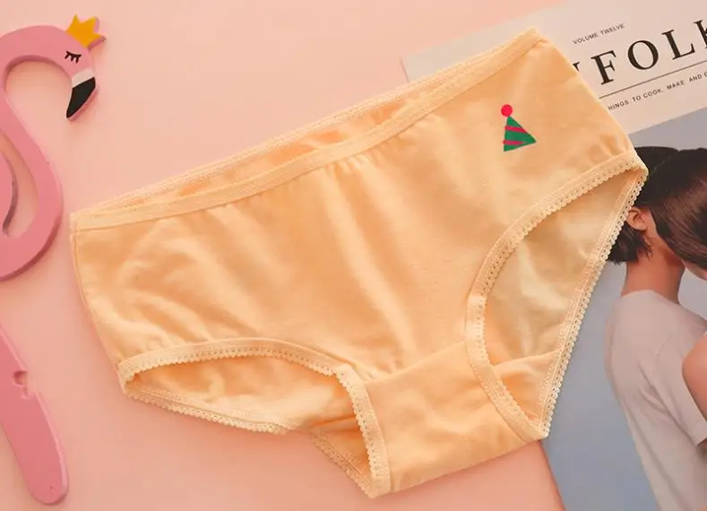 seamless panties (19)