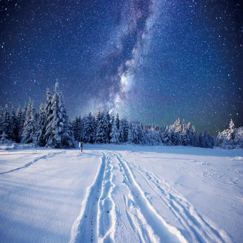 

Laeacco Photography Backdrops Winter Snow Pine Forest Starry Natural View Scenic Photographic Background Photo Studio Photocall